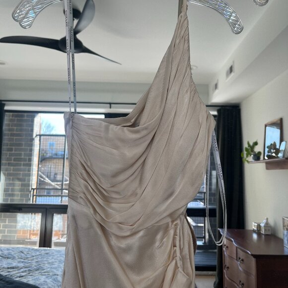 Shona Joy Cream Asymmetrical Ruched Gown - Picture 6 of 8